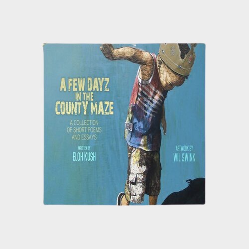 A Few Dayz in the County Maze